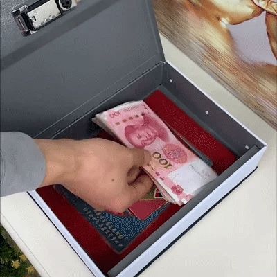 🔑Caja fuerte secreta en forma de libro💵