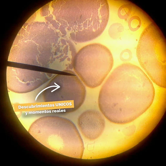 Microscopio | MicroToy | Regálale la experiencia de un microscopio, en un juguete portátil