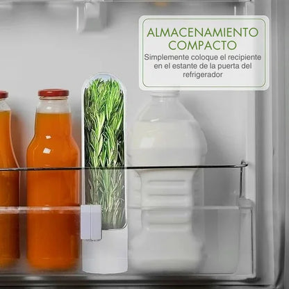 Contenedor para Hierbas Frescas para Nevera