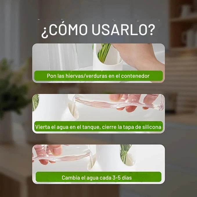 Contenedor para Hierbas Frescas para Nevera