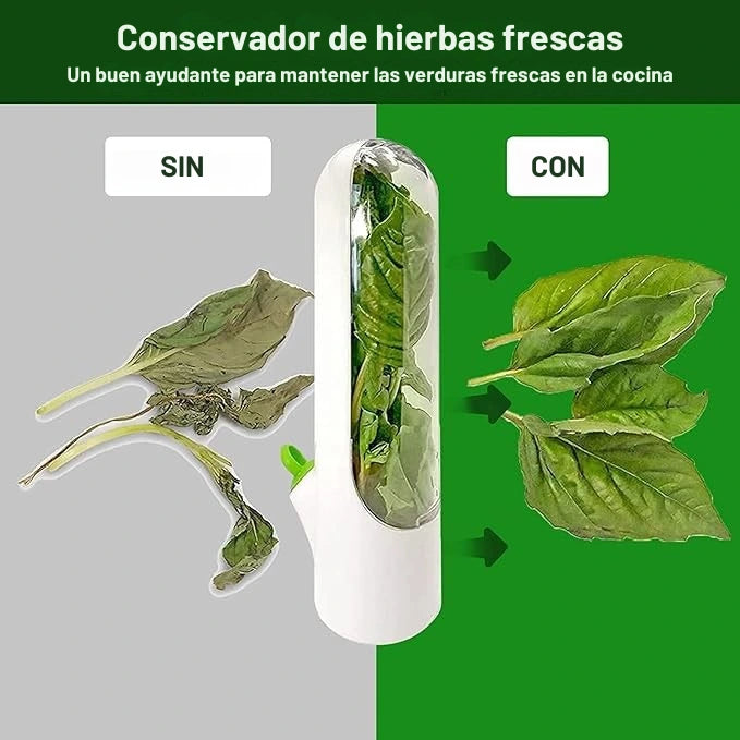 Contenedor para Hierbas Frescas para Nevera