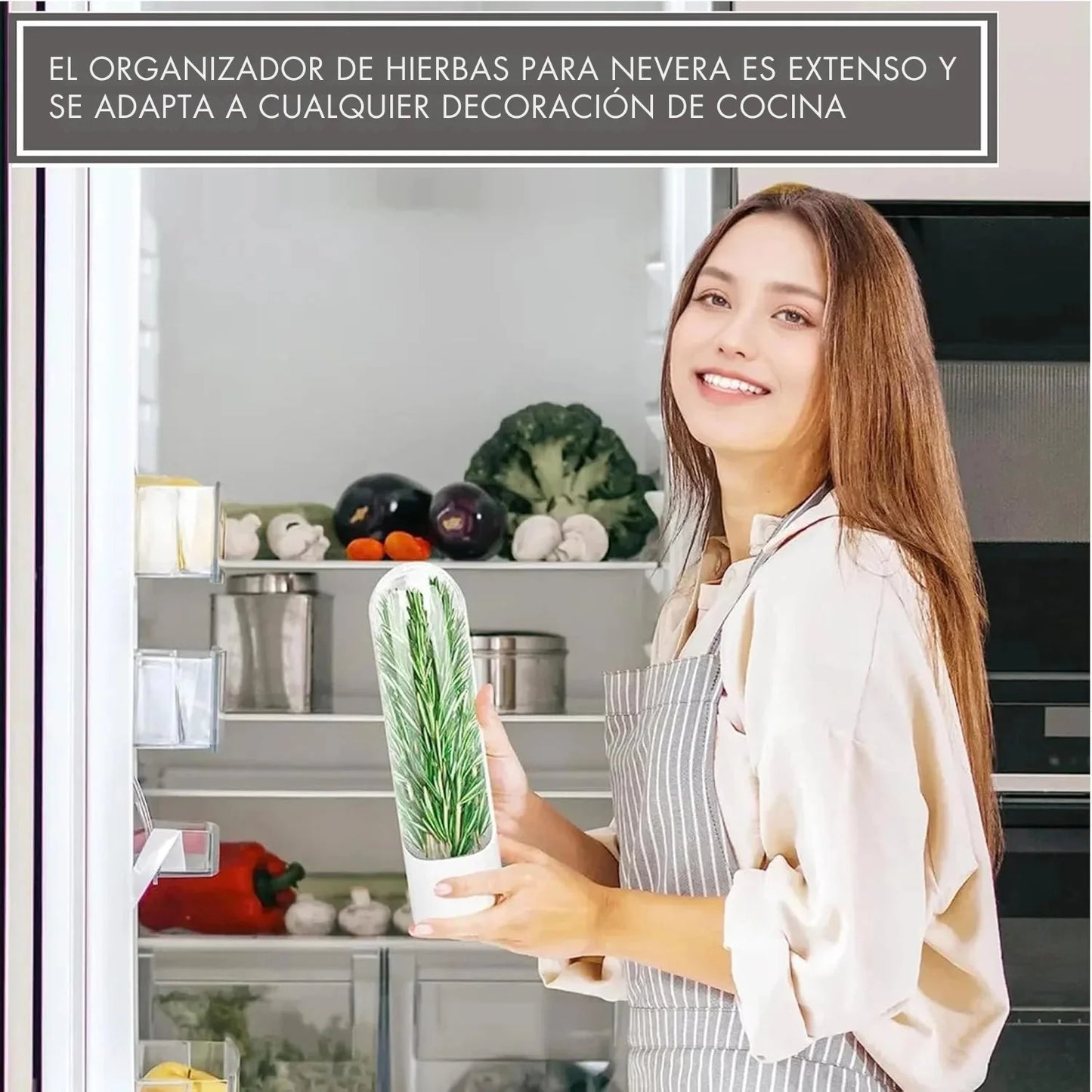 Contenedor para Hierbas Frescas para Nevera