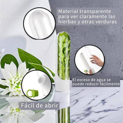 Contenedor para Hierbas Frescas para Nevera