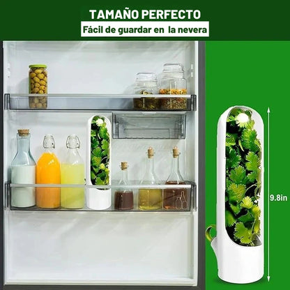 Contenedor para Hierbas Frescas para Nevera