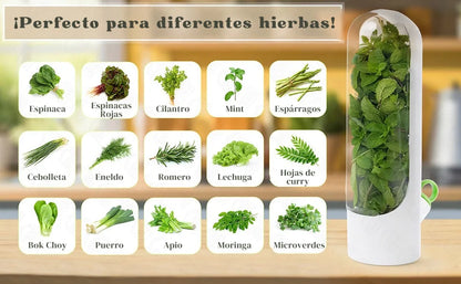 Contenedor para Hierbas Frescas para Nevera
