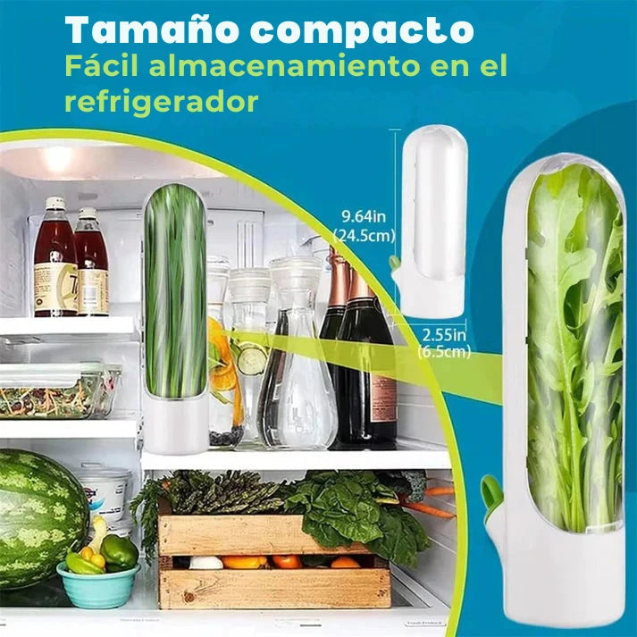 Contenedor para Hierbas Frescas para Nevera