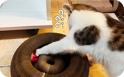 Rascador Mágico para Gato - Kitty Kurlz™ 2 x 1