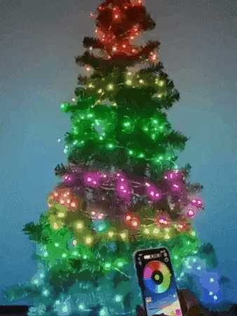 Luces LED Smart RGB 20m